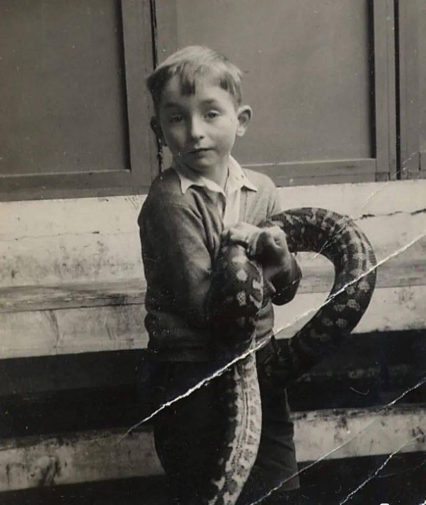 梦境迷踪，怀抱男童遇蟒蛇——解密潜意识中的勇气与成长