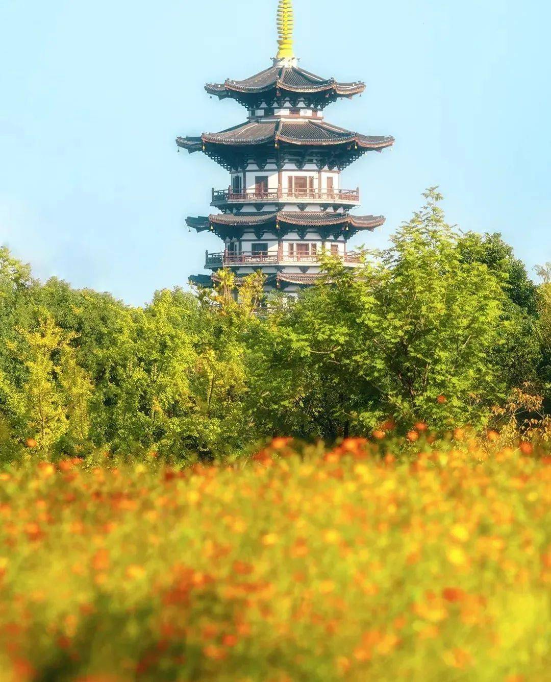 打卡湖南秋日限定美景,去这几个地方就够了 打卡湖南秋日限定美景,去这几个地方就够了