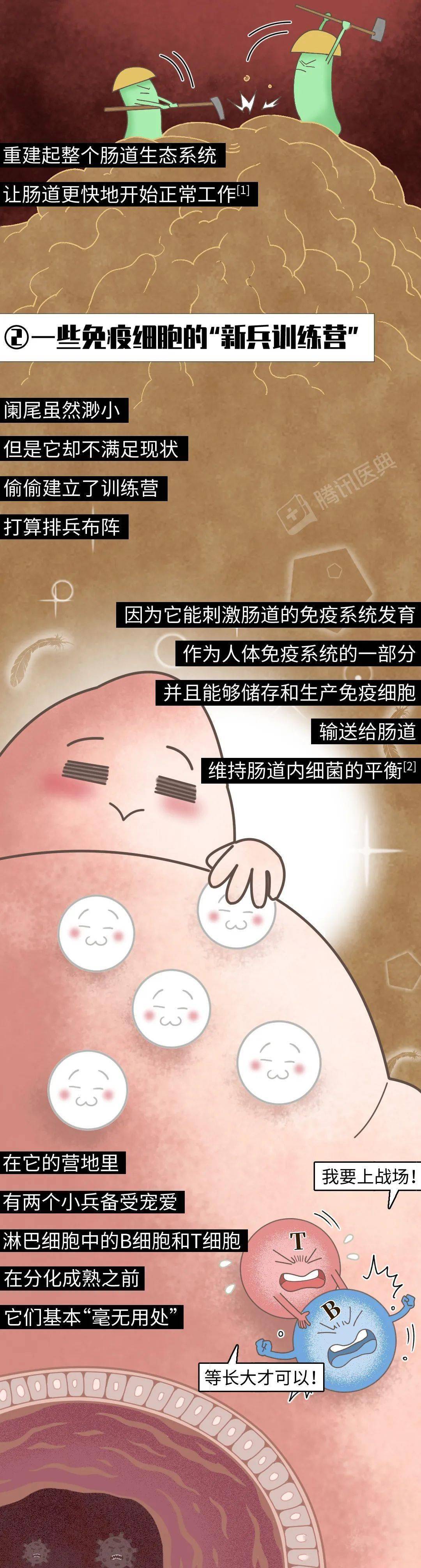 一辈子被骂没用的这个器官，却为你做了2件了不起的事