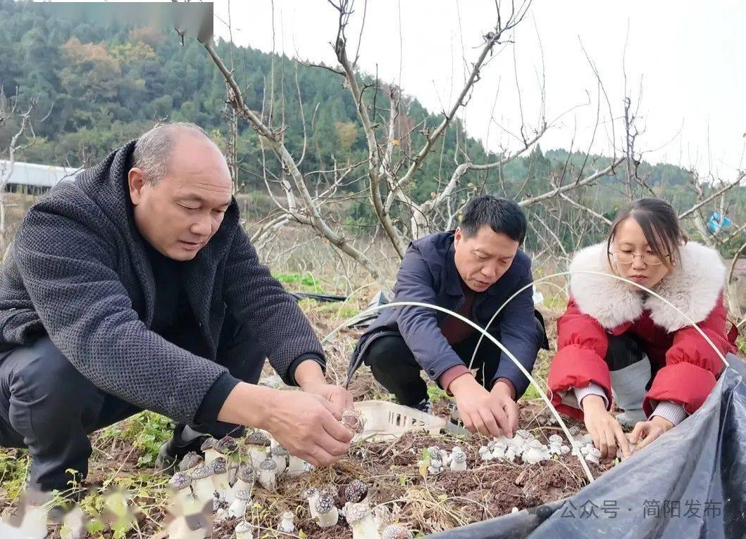 利博平台注册开户网站怎么注册的（官网）