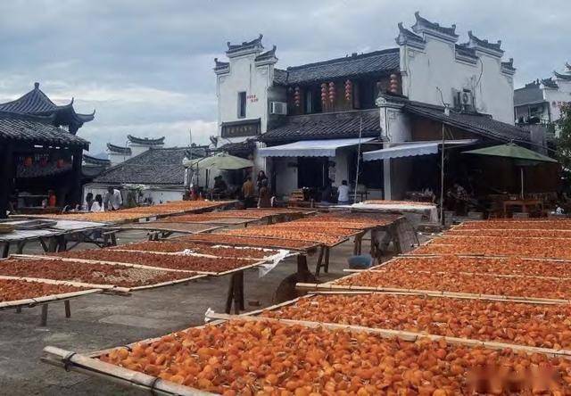 开云体育下载农旅结合 “鲜果经济”助推产业发展(图3)