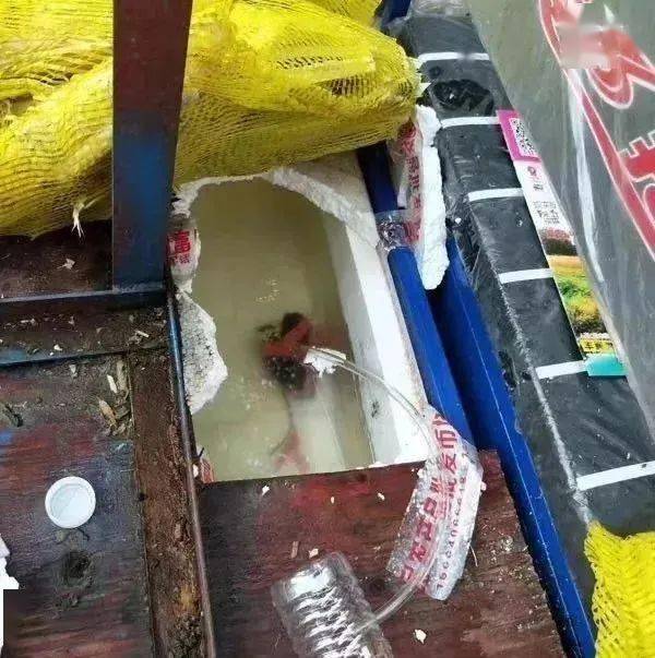 街边的鲜榨饮品真的没“加料”？看完各位就知道了！