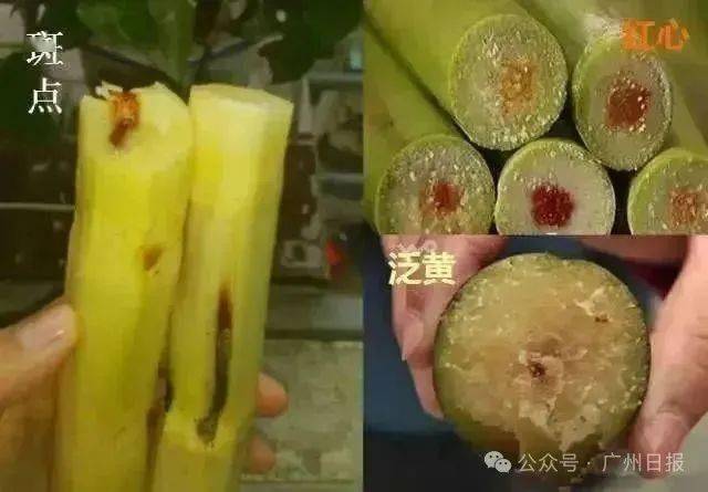 街边的鲜榨饮品真的没“加料”？看完各位就知道了！