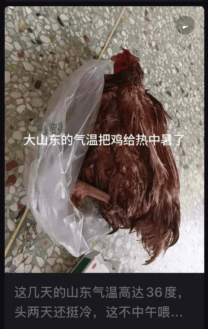 史上最热夏天，北方人大开眼界，南方人命悬一线