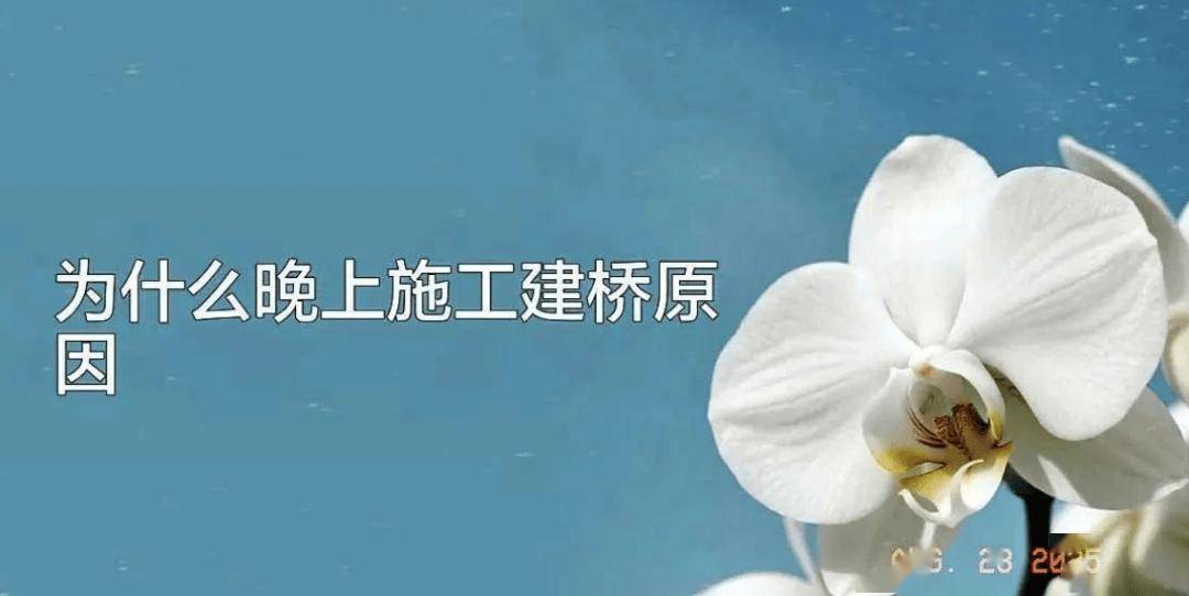 刚刚，只差5米！黄河大桥深夜坍塌，20年老工程师：一个螺丝毁了所有？
