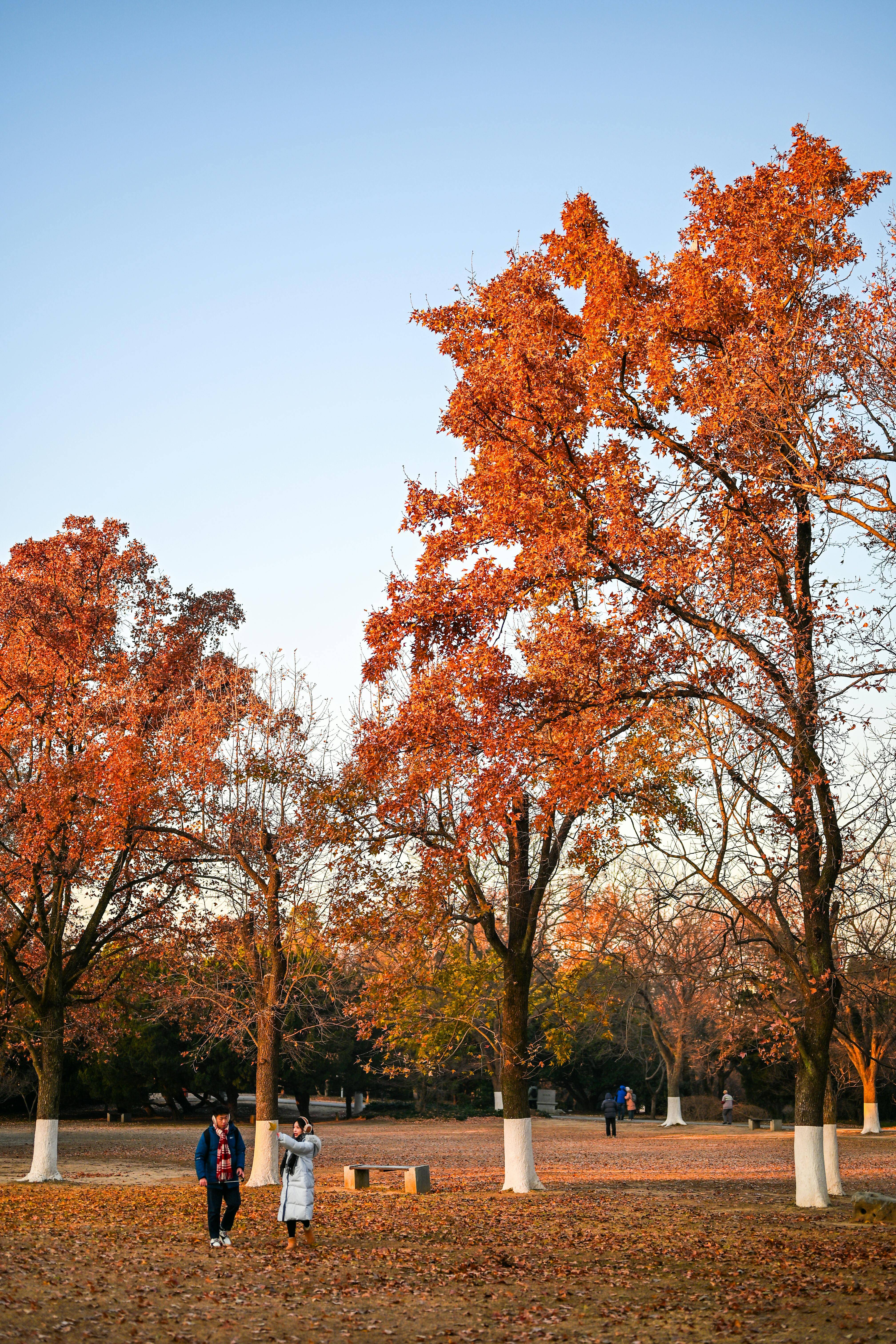 风寒与风热感冒的区别:5招轻松辨别病因与症状