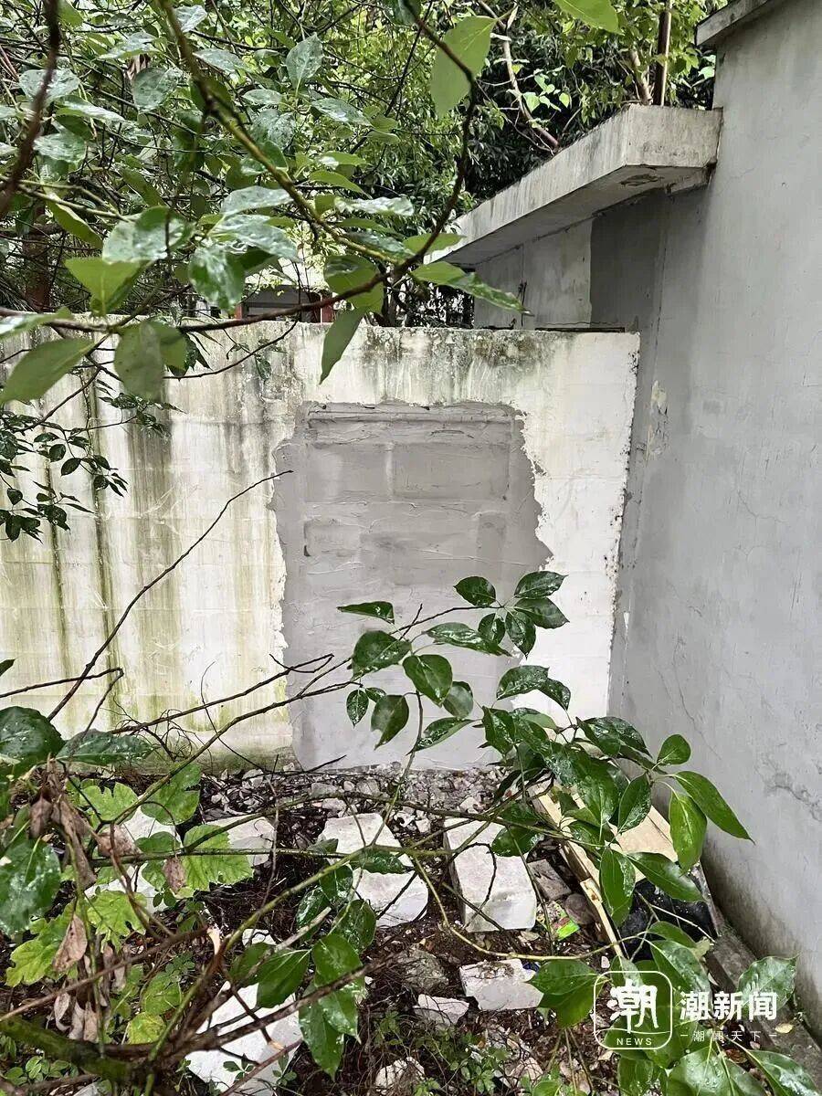 向太曝萧敬腾感情，直呼林有慧“这个女的” 暗示女方不简单