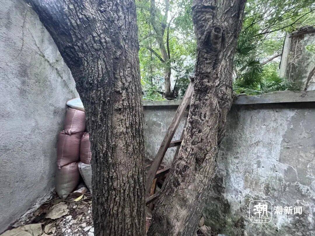 曾任全国首个“镇改市”市长，何宗静履新职