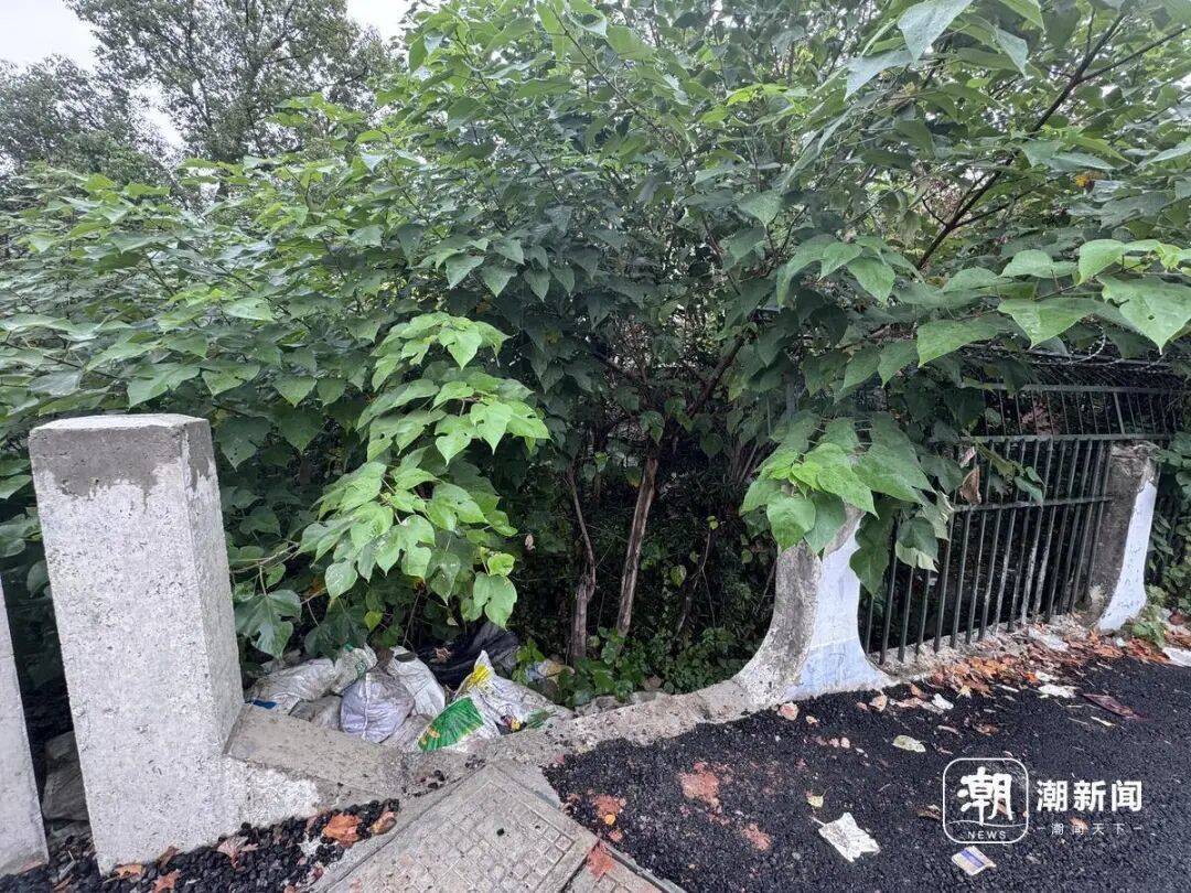 废弃学校成打卡点,曾有博主被困……