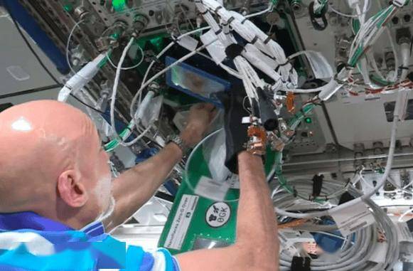 中国航天员不吃预制菜了，他们在太空烤鸡翅！