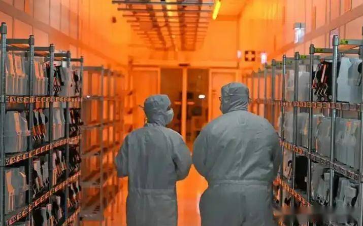 德国媒体报道:闻泰收购安世后,未押注荷兰,而是派专家拆解产线、迁产能回中国,却漏算闻泰早搭备用系统、换国内供应链