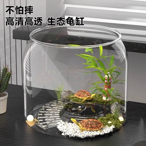 乌龟怎么养在鱼缸 30befc7318584c7eba627868b342c75f.jpeg