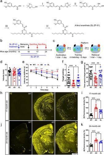中国科学院最新研究：晚期阿尔茨海默病记忆缺陷或可逆转
