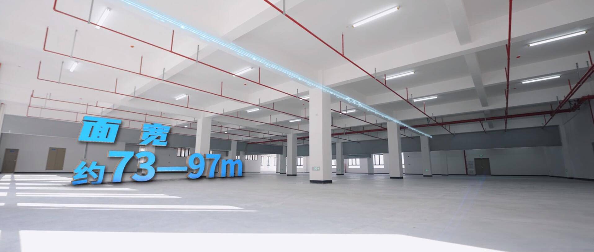 可办环评、适配电子加工且产权大白的家产园现楼保举