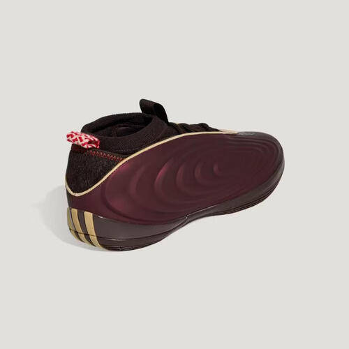 阿迪达斯与安踏：专业篮球鞋的真实使用体验对比(图1)