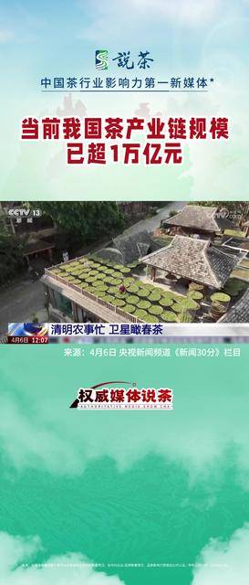 【权威媒体说茶】中国茶产业链规模已超1万亿元
