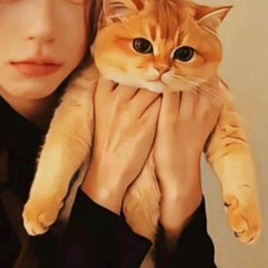小美要变美