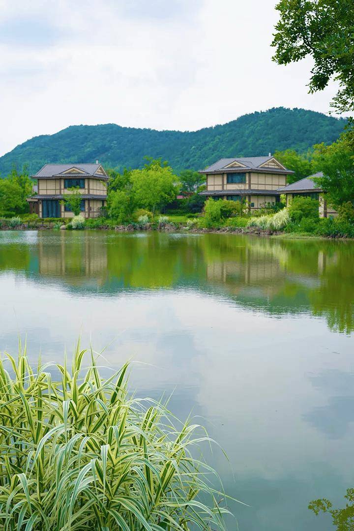 王炸！2间夜¥798含2份正餐+限量免升！依山傍水近溯溪，宠物友好，五一暑期拼手速！