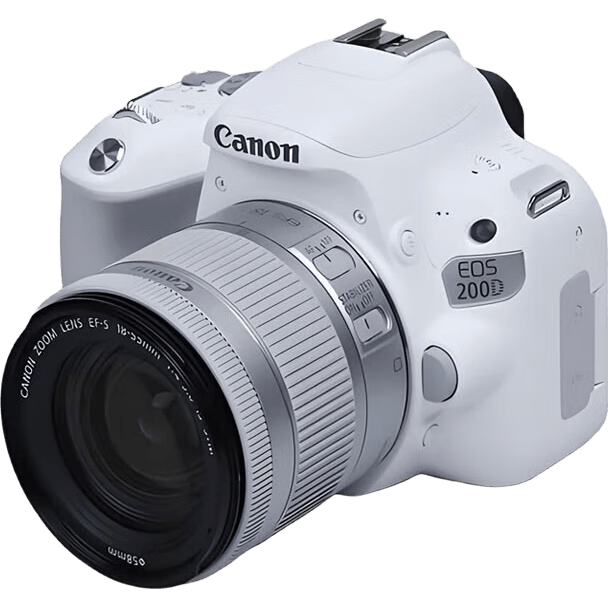 佳能（Canon）单反相机全面体验：EOS800D、90D与20的真实对比分析(图3)