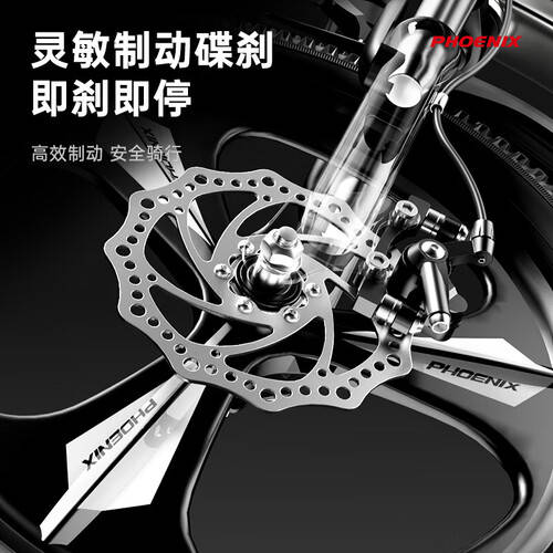 凤凰（Phoenix）儿童自行车评测：科技与安全的完美融合