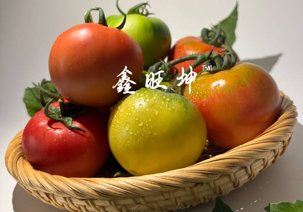 山东草莓番茄种子供应厂家推荐哪家，抗裂果自由番草莓番茄种子厂家选哪家，草莓番茄种子哪家好实力与用户口碑