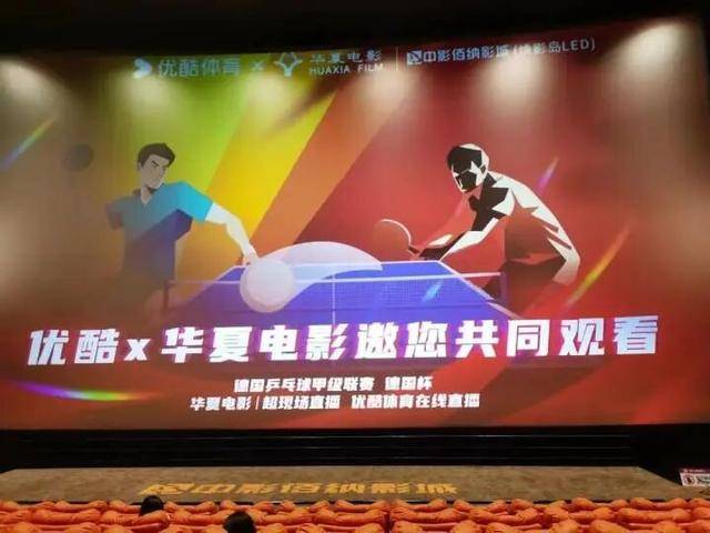 樊振东