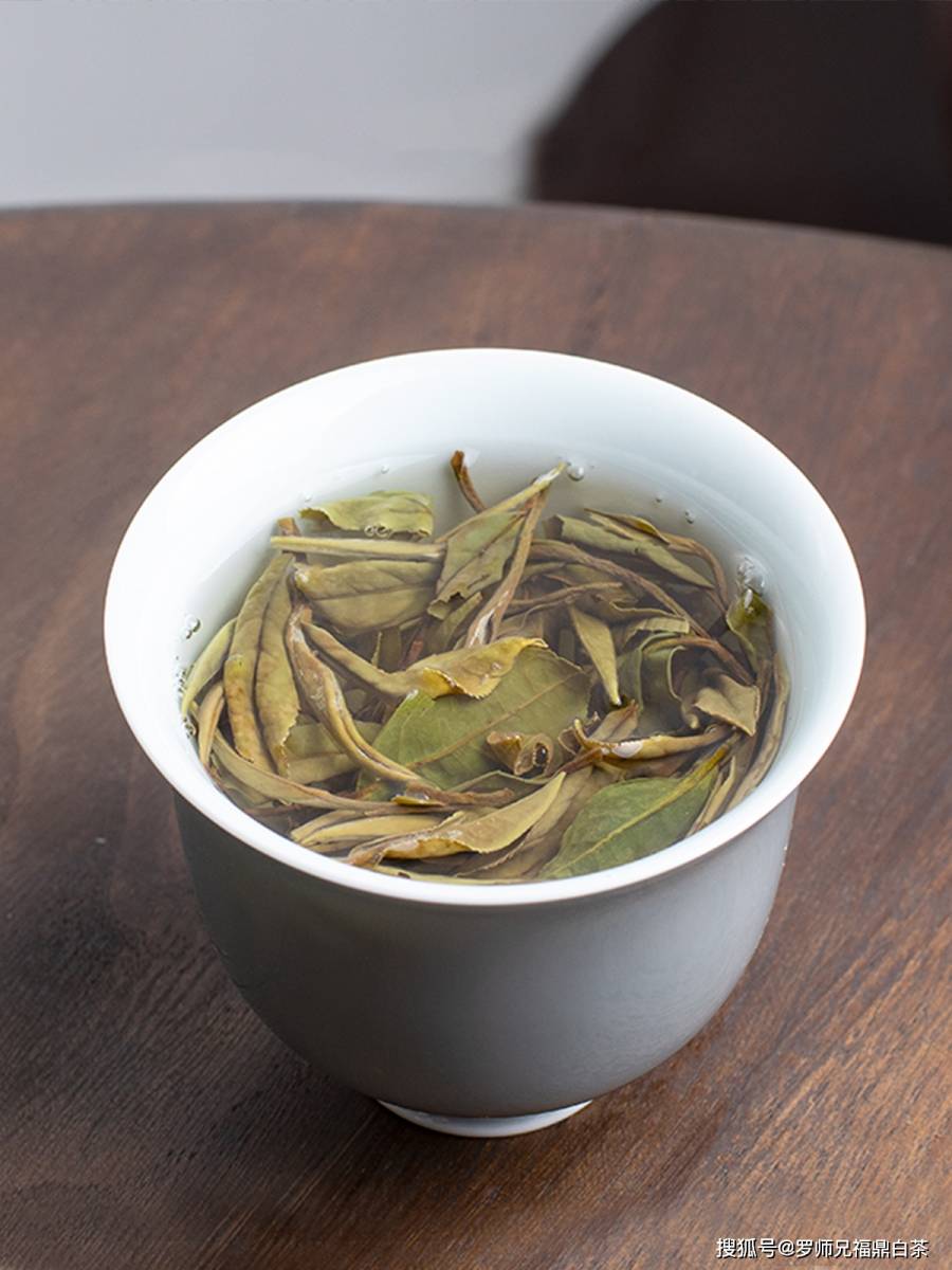 2022年白茶白牡丹丨喝它只有0次和无数次