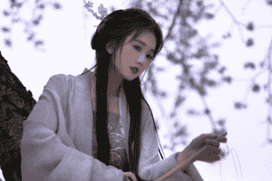 ST新元子公司贷款涉重大诉讼：刚披露风险 多名高管集体辞任