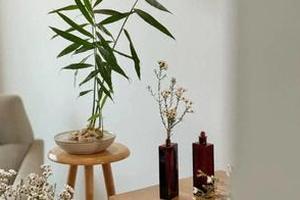 辛巴“棉密码”卫生巾检出超高含量致癌物 多款