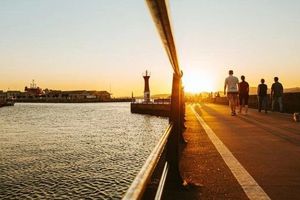 树拍易购崩盘：树拍APP涉嫌传销被立案 相关