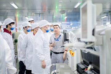 顶立科技IPO：业绩增速放缓 预计去年扣非净利增速现负增长