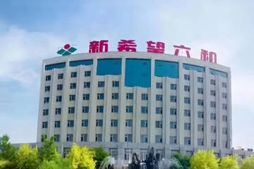 山东六和与诸城东方食品再成被执行人：半年两度