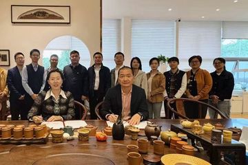 跨境物流进入"稳省快优"时代 喜鹊到「国际小包」的破局思路