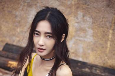 临西一项目招标被疑“走过场” 招标人和中标人