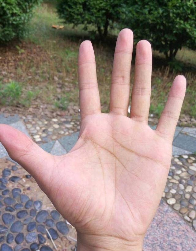 俗语"断掌一条线,富贵不相欠",表达的是什么意思?