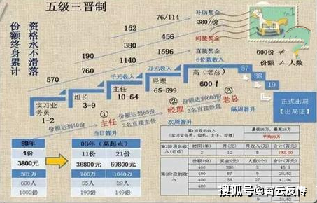 成都特大传销案22图片