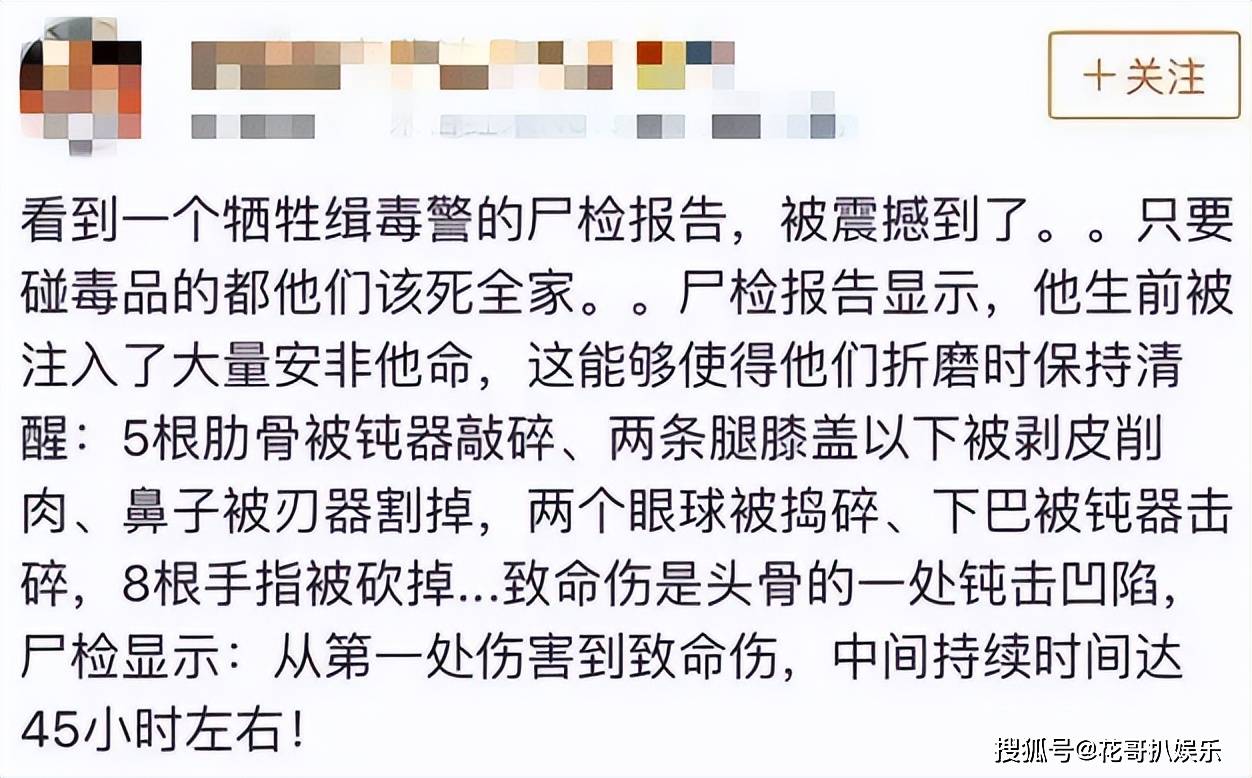 落入毒販手中,直到一個月後他的屍體才重見天日,而之後的屍檢報告顯示