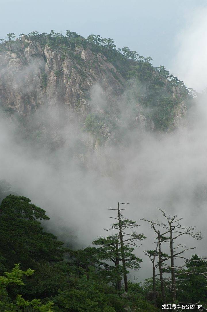 行至朝雾里,坠入暮云间_山雾_摄影_牯牛