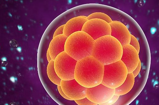 当受精卵成功着床之后,这时候女人身体就会分泌一种激素,也就是我们所