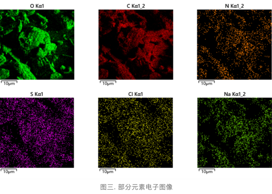 扫描电子显微镜(sem)分析方法实例_元素_样品_的表面