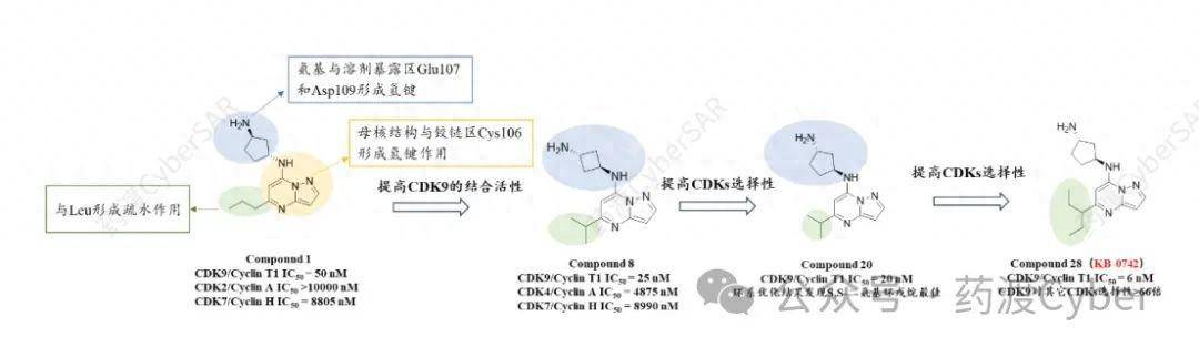 解析kronos bio開發的cdk9抑制劑kb-0742分子設計和