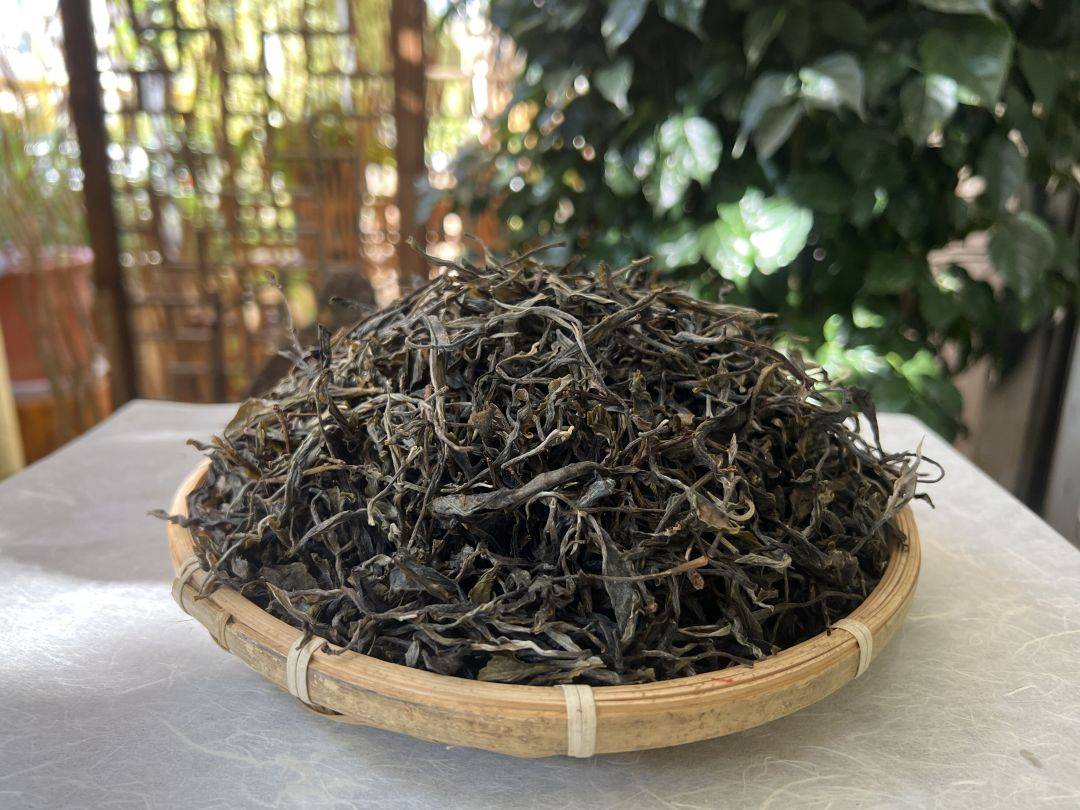 的,這茶是我們常年製作的一個常規品種,屬於臨滄邦東一個很小產區的茶