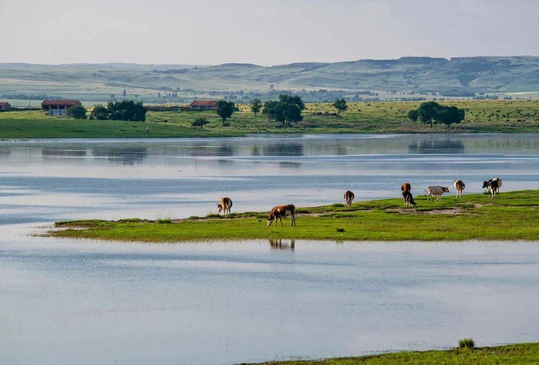 内蒙古兴和县走进第七届北方民宿大会_乡村旅游_苏木_发展