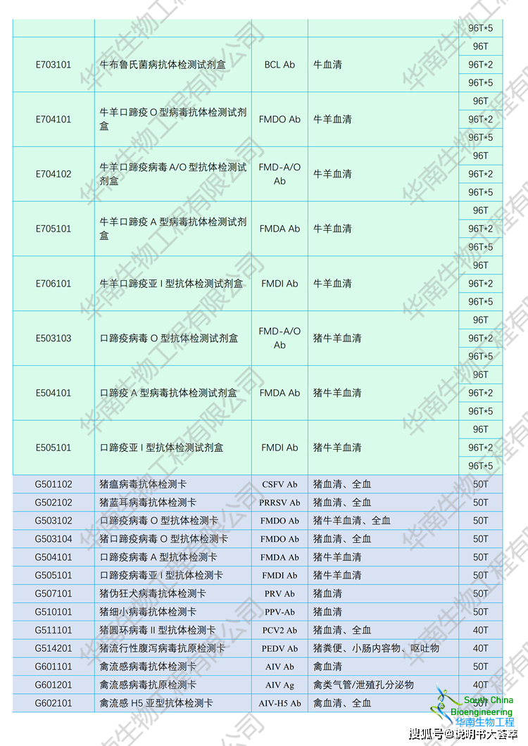 豬支原體抗體檢測卡_試驗_孔內_紅色