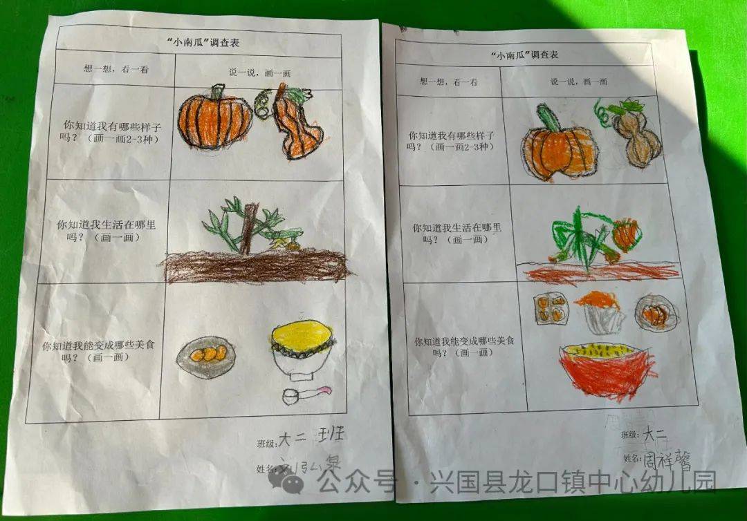 幼儿园种植调查表模板图片