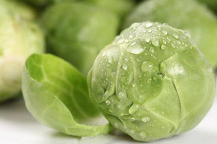 极佳的保健蔬菜,很多人不知道这是什么!_甘蓝_孢子_胡萝卜素