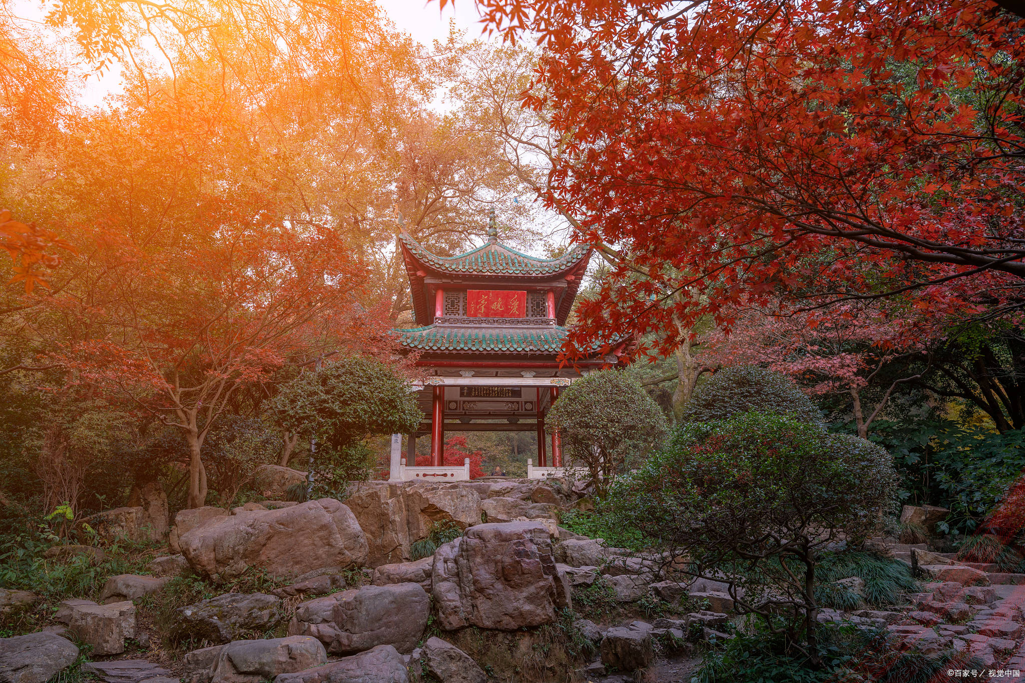 岳麓山风景 景色图片