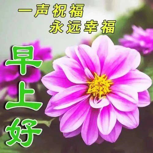 1月12日最新創意好看的早上好祝福圖片帶字溫馨 2024唯美早安問候祝福