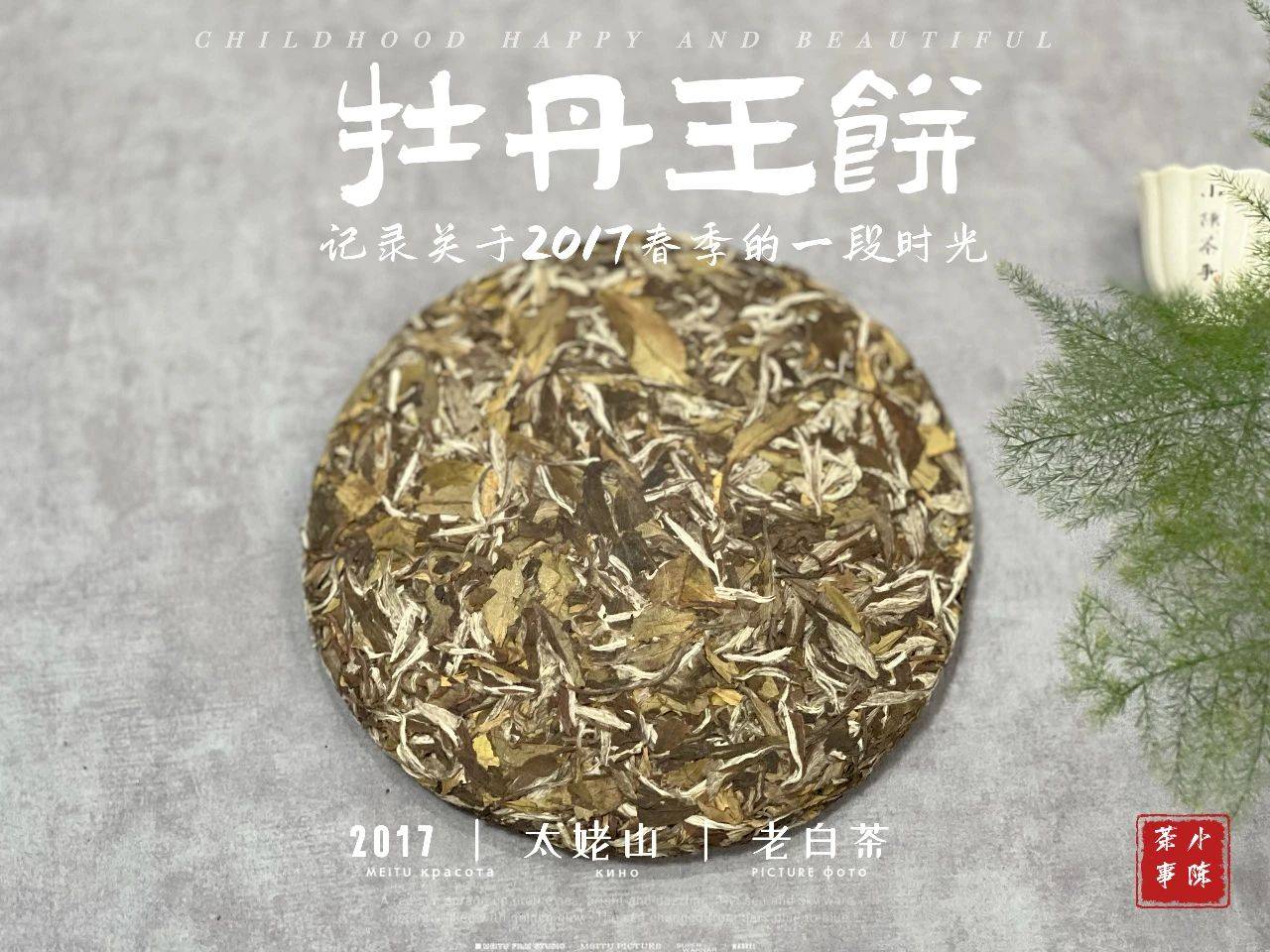 4個鑑定白茶餅品質的方法,能符合的都是好茶,閉眼