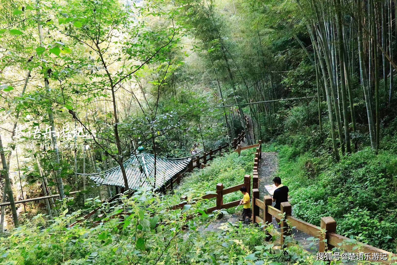 潭瀑和古道都很優美,堪稱休閒和徒步勝地_石門村_餘姚_溪水